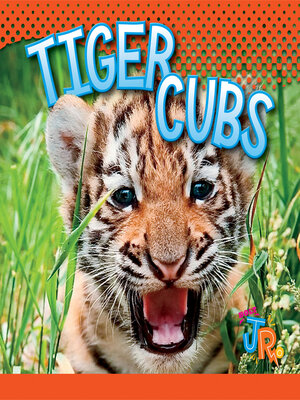 cover image of Tiger Cubs
